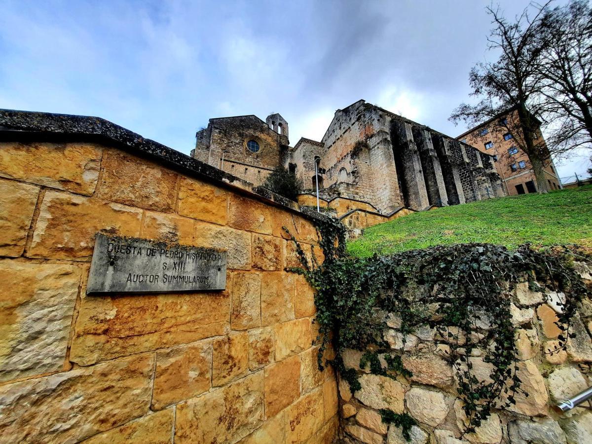 Apartamento Medieval En El Camino De Santiago Естеля Екстериор снимка